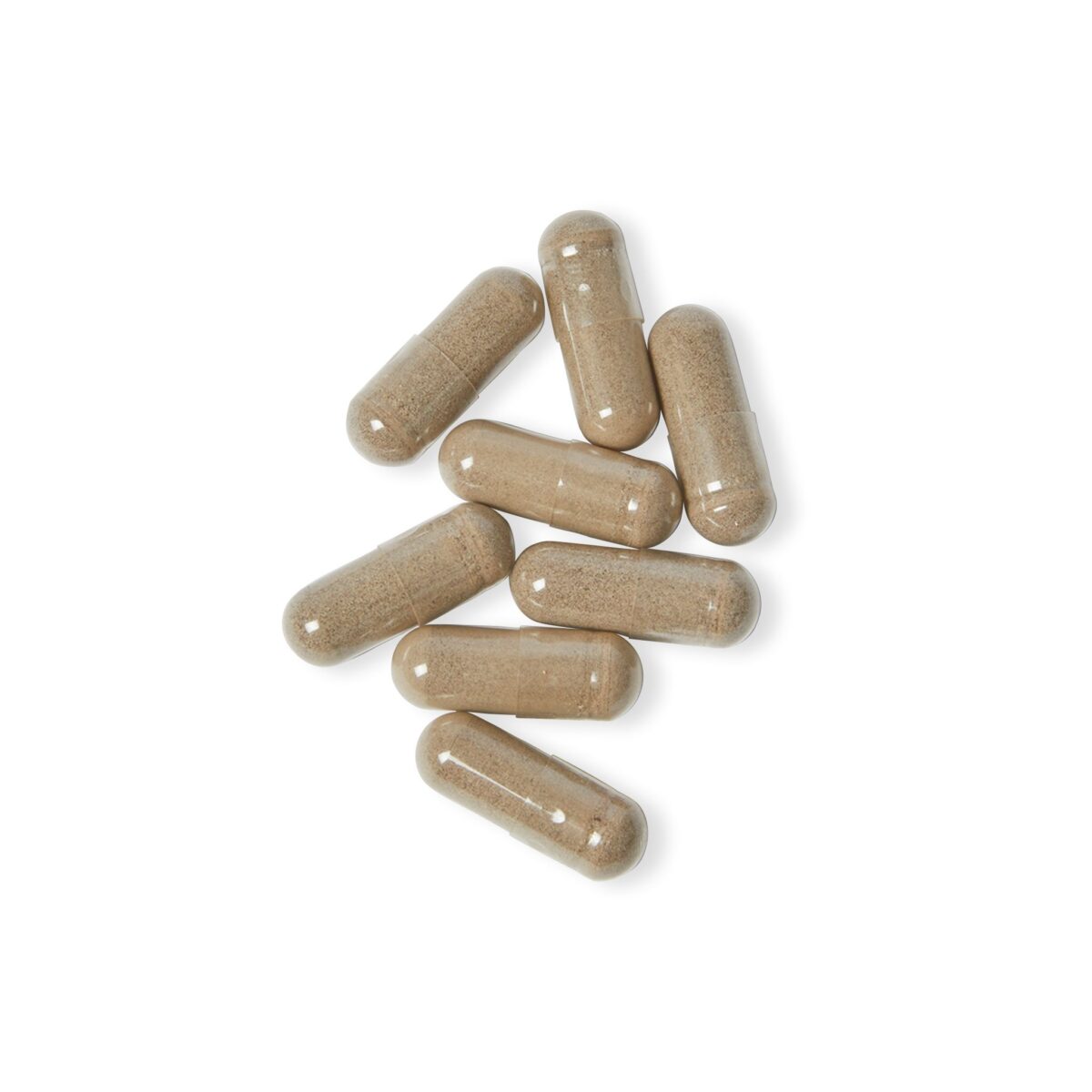 Sea Moss #Vibe Your Fit# Supplement - Image 5