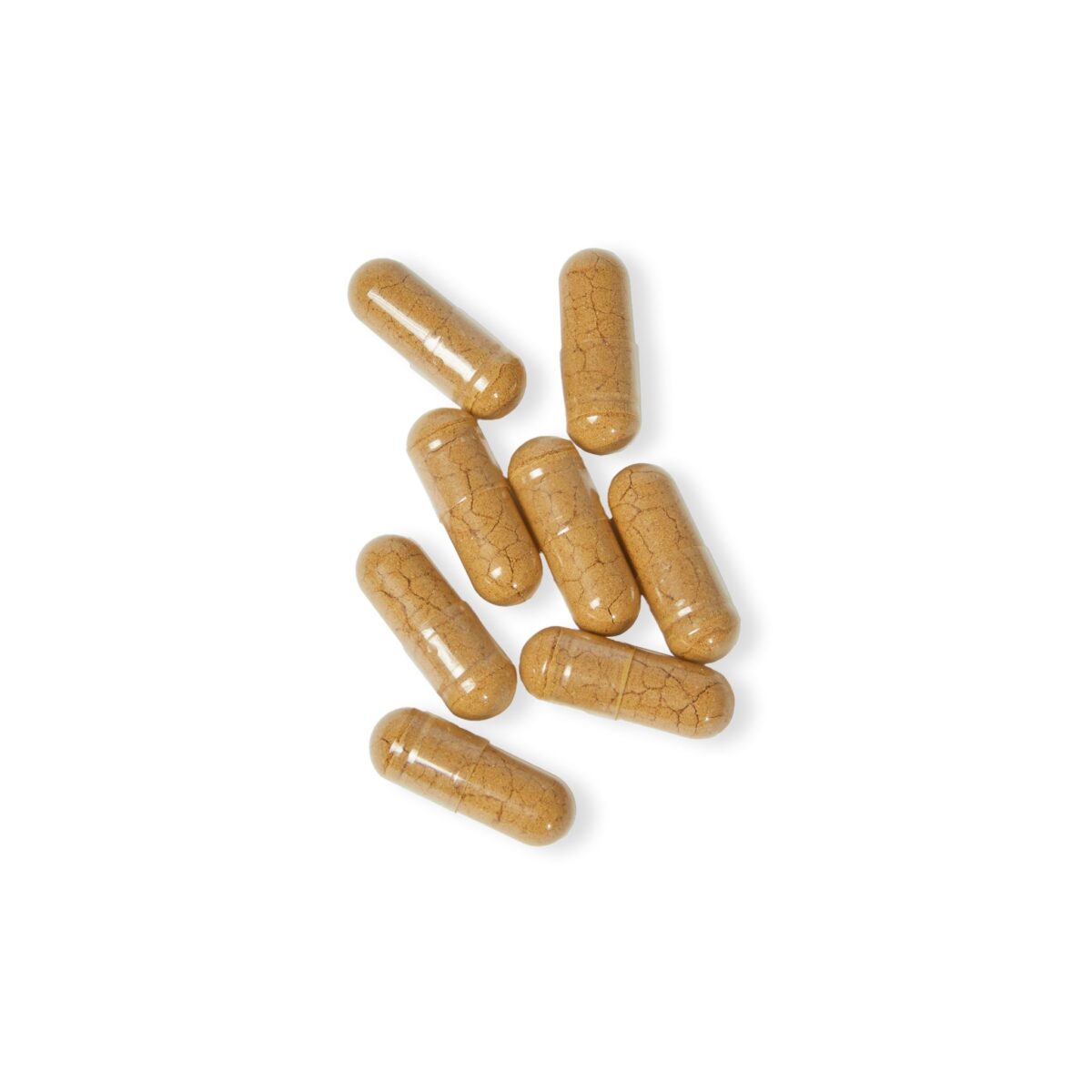 Mushroom Blend #Vibe Your Fit# Supplement - Image 5